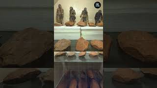 Parikulam Akazhayvu Secrets | பரிக்குளம் அகழாய்வில் கண்டெடுக்கப்பட்ட கற்கள் | Old Stone #shorts