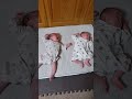 大泣きする相方の隣で爆睡する双子 #一卵性双生児 #identicaltwins 生後1ヶ月