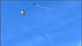 Festival No Vento De 22Km Choveu Pipa E Relo,A Xepa Foi Parar Em Outro Bairro Para Fazer Os Resgates