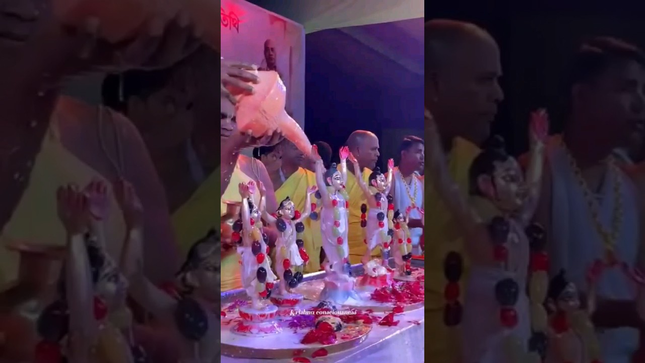 Nityanandar 537 tama Abirbhab 