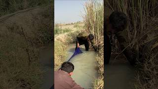 viral 💯🎣😜😝🤯🇵🇸🇦🇫🇺🇸🤡👻 like subscribe share comment @ChuChuTV @SouthActionMovies2026