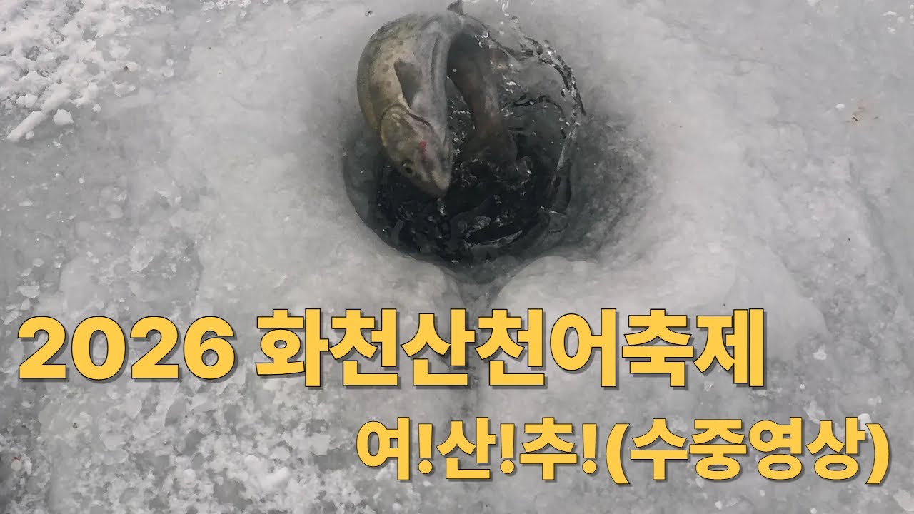 2026 화천산천어축제 수중영상 액션꿀팁!!