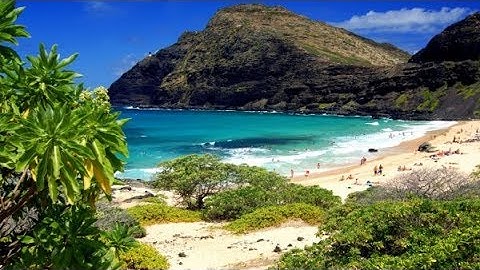 الشيخ حاتم فريد الواعر   تلاوة عطرة تريح القلوب  سورة البقرة كاملة   Quran