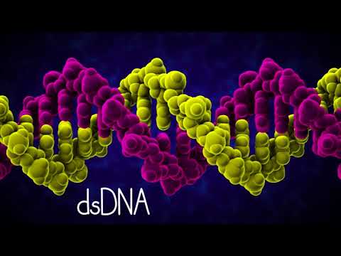 Видео: Какво е ДНК