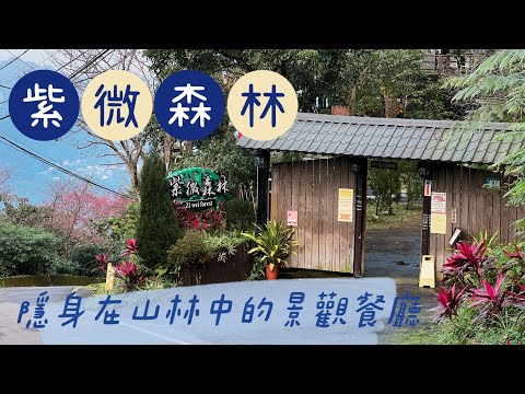 【紫微森林】紫薇南路｜全程路況｜2022年最新