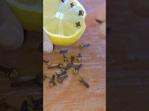 ضعي القرنفل على ليمون وارتاحي طول صيف