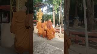 good morning  #Today make merit #Monks #Wat Pa Yotha Prasit Mueang Surin #Surin Province