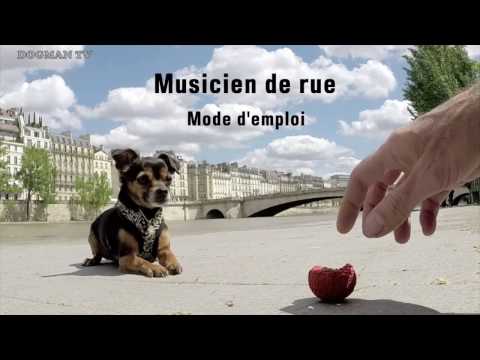 Vidéo: Comment Devenir Musicien De Rue