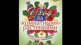 Уход за комнатными растениями(Большинство комнатных растений - уроженцы далеких стран, поэтому очень важно знать особенности природной..., 2011-10-06T15:42:21.000Z)