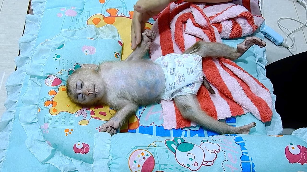 POLEE Sleep Soundly Like A Real Human Kid.