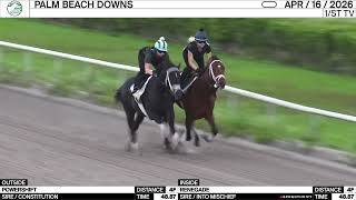 Work Of The Day At Palm Beach Downs Renegade Powershift Worked 4 Furlongs On April 16Th, 2026