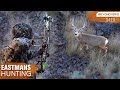 Bow Hunting Open Country Bucks - Self-filmed DIY Mule Deer (Eastmans’)