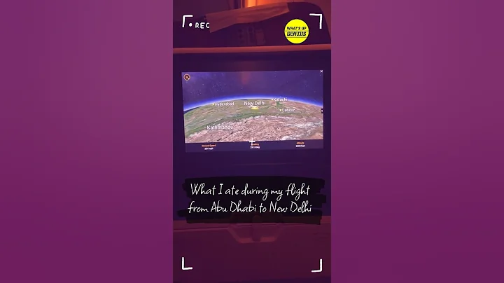 What I ate during my Flight from Abu Dhabi to New Delhi | Flight Food | Etihad | WUG #minivlog