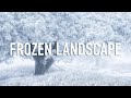 Landscape photography in a frozen wilderness