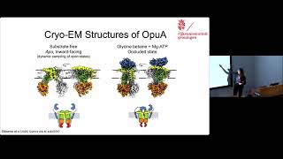 NGBS2023: Using single-molecule optical tweezers to study transmembrane proteins - Kasia Tych
