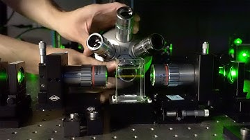 A virtual visit to EMBL Barcelona’s Mesoscopic Imaging Facility