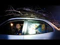 Police Discover The Most Suspicious Car Ever In State Forest