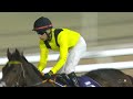 MEETING 24 | 13 Mar 2026 | RACE 8