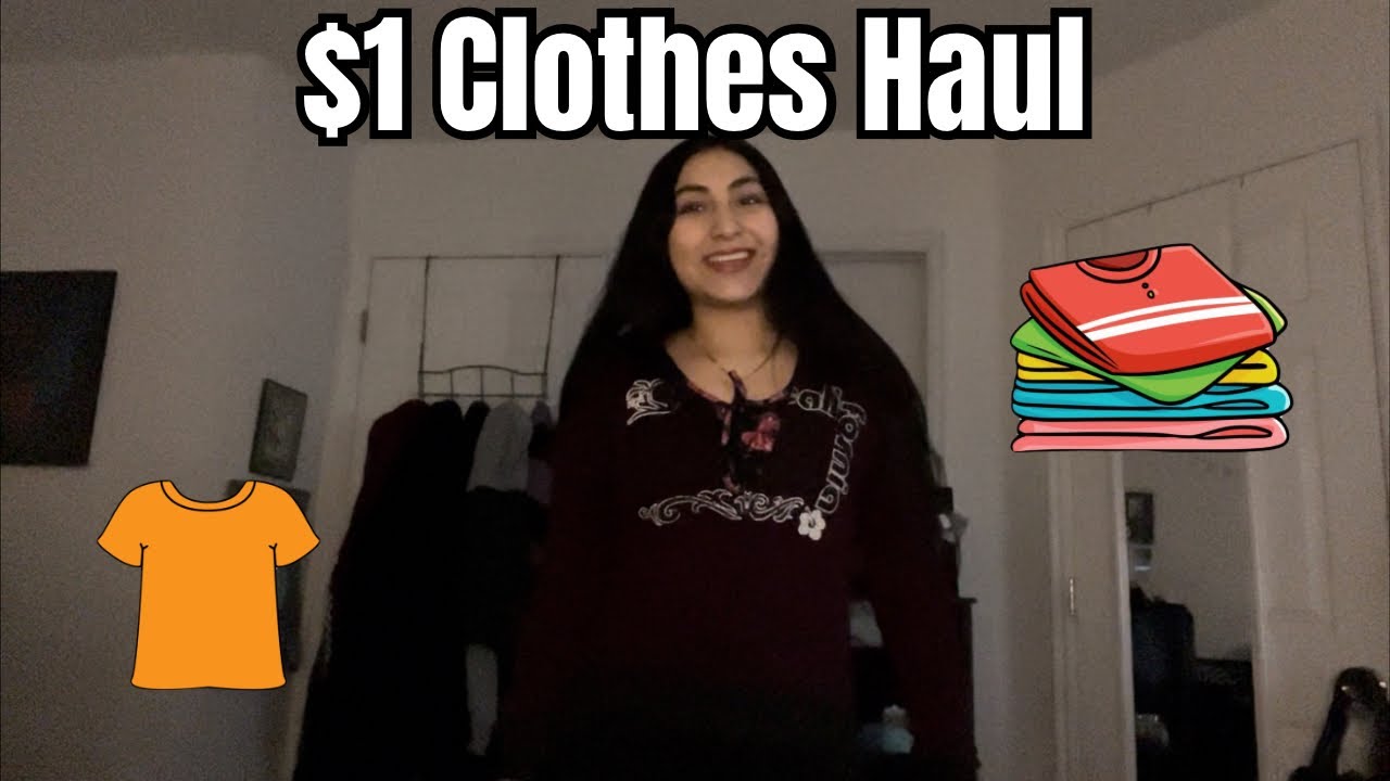 Everything Was $1 Each 😳| Clothing Haul 