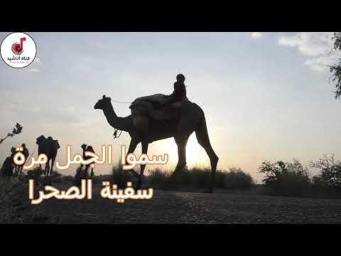سموا الجمل مرة سفينة الصحرا اناشيد اطفال