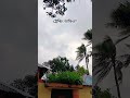 #dua_bangla #মিজানুর_রহমান_আজহারী #best_dua #দোয়া #trending #nature #shortvideo #rain