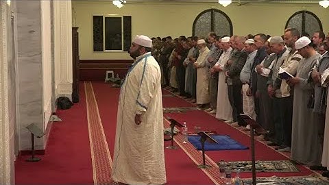 سورة المائدة برواية قالون 💚تلاوة الشيخ بلال بن محمود/ تلاوة تريح القلب 💚