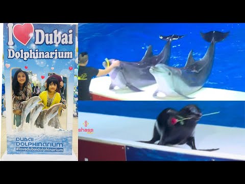 Dolphin Show In Dubai | Dubai Dolphinarium | Dolphinarium | Dolphin Dance | SHASS WORLD 293