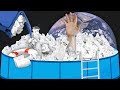 Thermal Paper and Structural Color Technology Quiz