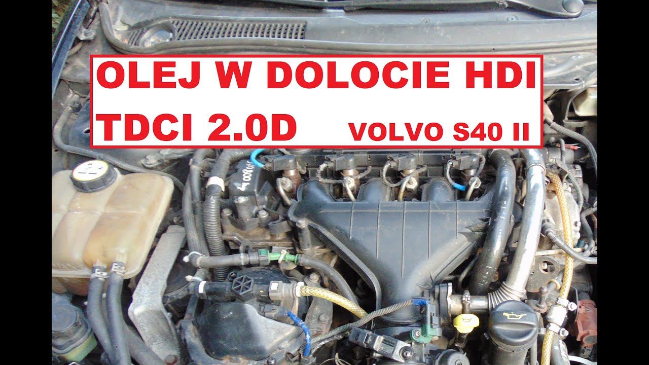 Olej w dolocie 2.0D HDI TDCI VOLVO s40 v50 YouTube