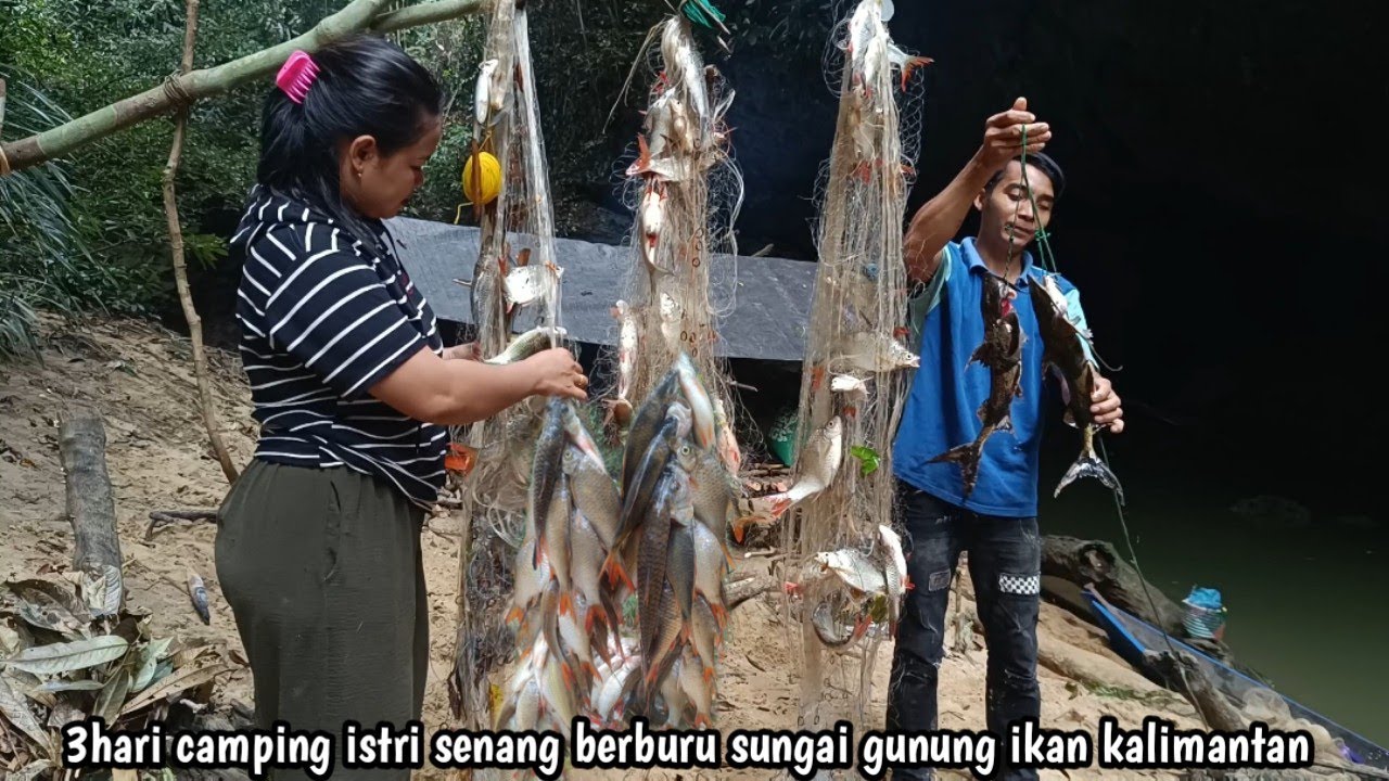 3hari camping istri senang berburu ikan melimpah sungai kalimantan