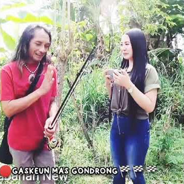GONDRONG LABANAN MANCING CEWEK‼️