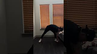 Principle of Strength and Conditioning Video assignment number 2