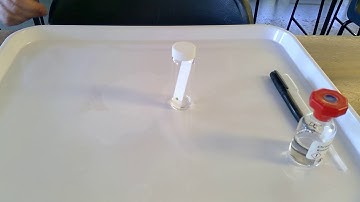 Chromatography of photosynthetic pigments