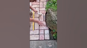brick paving with reclaimed bricks