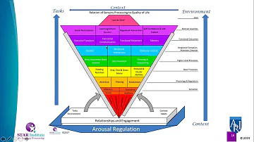 What are examples of sensory issues?