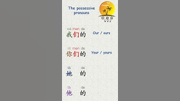 possessive pronouns in Mandarin Chinese