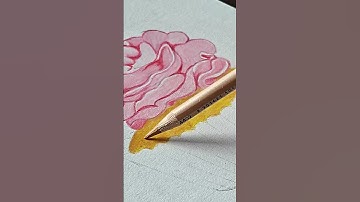 drawing a strawberry cupcake #drawing #foodartistry #pencildrawing #cupcake #shortsfeed