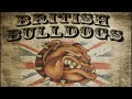 British bulldogs