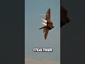 “F22 raptor and f35”#foryou #fyp #viralvideo #shorts #youtubeshorts