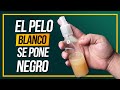 ¡Adiós Canas y Hola Cabello Largo! Tónico Secreto Para Un Pelo De Ensueño