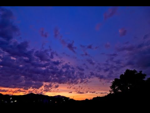 【オリジナル曲】伝えたかった