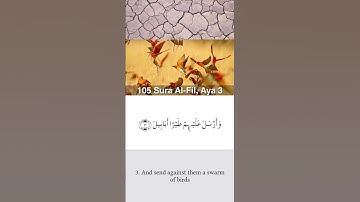 Surah Al- Fil with Translation in English | سورة الفيل | sura 105