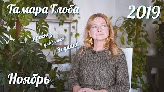 Прогноз для Зодиака от Тамары Глоба на Ноябрь 2019