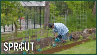 Top Gardening Tips for Thriving Lawns, Veggies and Beautiful Blooms
