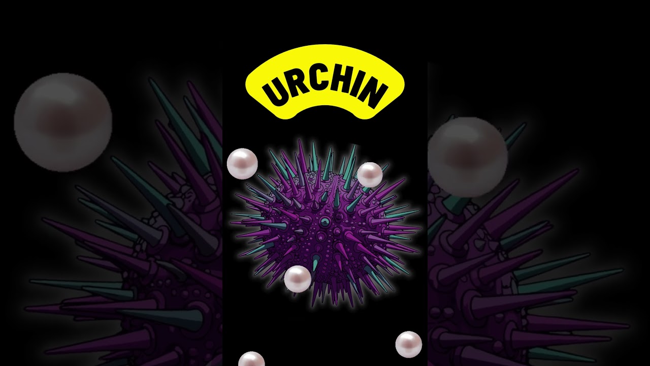 Letter U | U for Urchin 🐡 | Alphabet & Phonics for Kids | ABCs for Toddlers | 