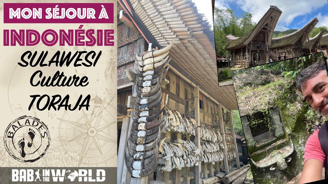 Mégalithes chez les TORAJA (Indonésie)