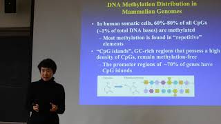 2018 STAT115 Lect 13.2. DNA Methylation