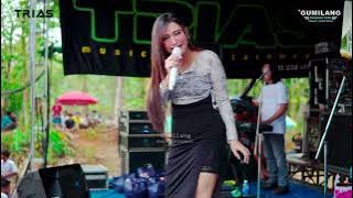 FULL ALBUM TRIAS MUSIC HAPPY PARTY OPE'S SINANGGUL MLONGGO JEPARA