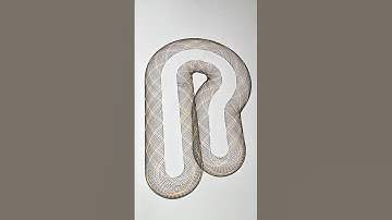 Drawn So Smooth, It Feels Unreal 😮‍💨 #OddlySatisfying