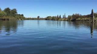 Head Of The Snohomish - Everett Rowing Association